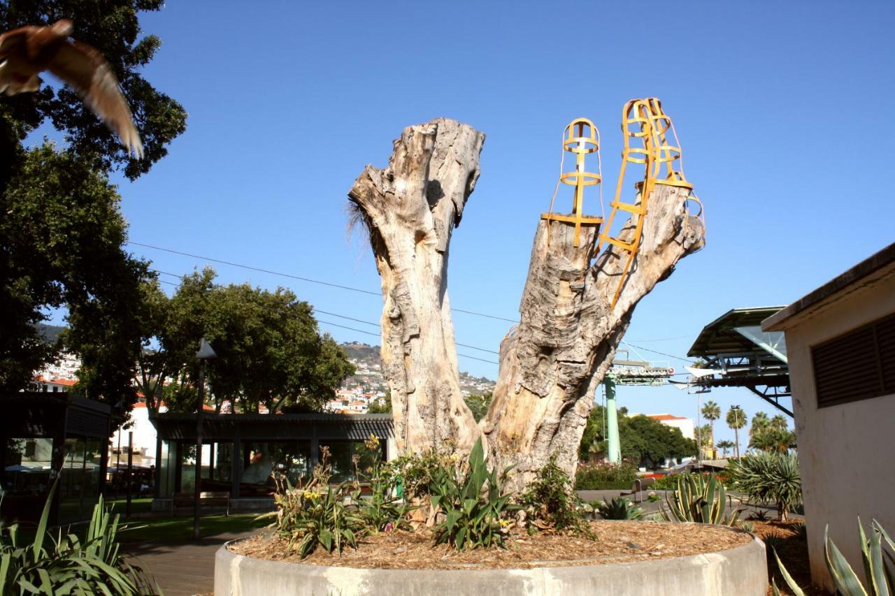 Old Town House Madeira Βίλα Φουνκάλ Εξωτερικό φωτογραφία